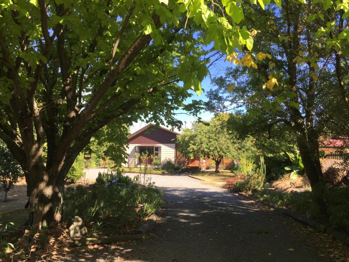 גרייטאון Chris'S Cabin מראה חיצוני תמונה